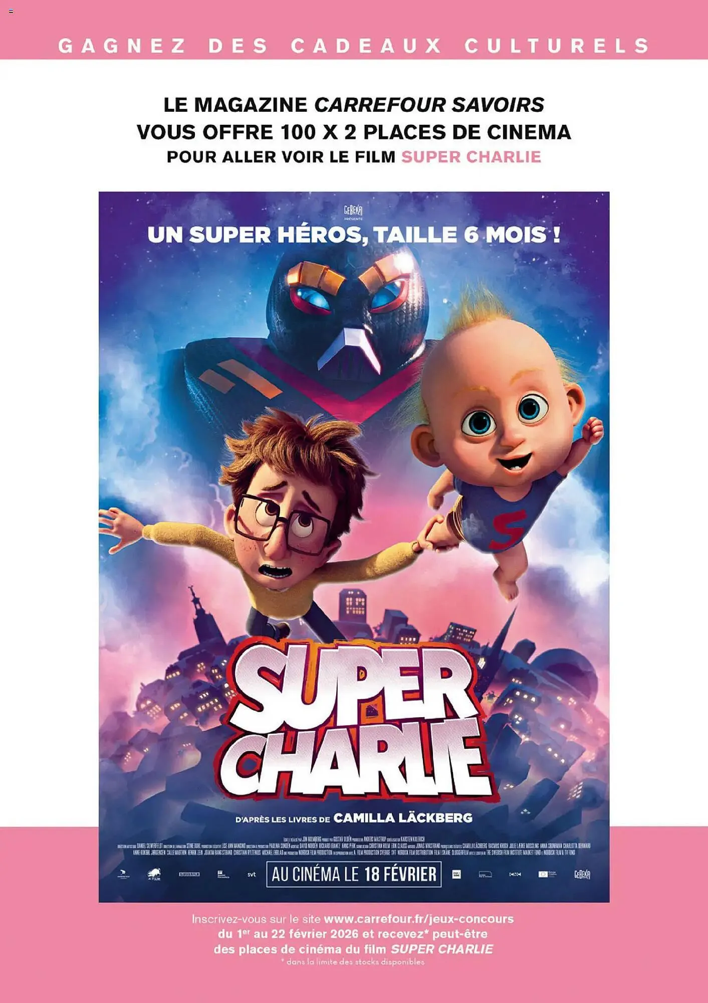 Catalogue Carrefour du 1 février au 28 février 2026 - Catalogue page 33