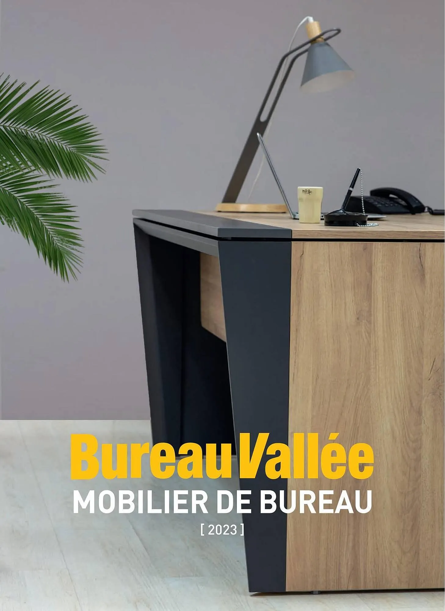 Catalogue Bureau Vallée - 1