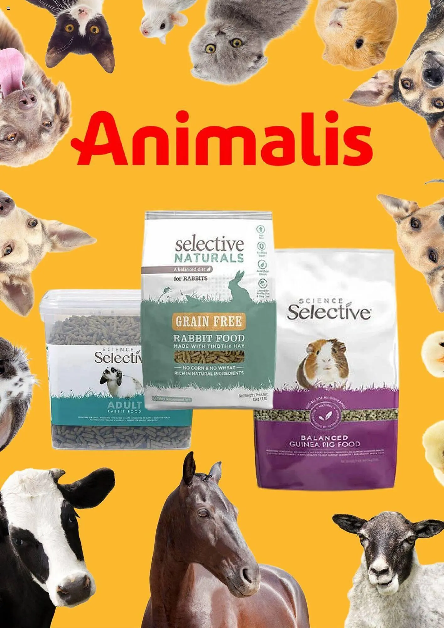 Catalogue Animalis - 1