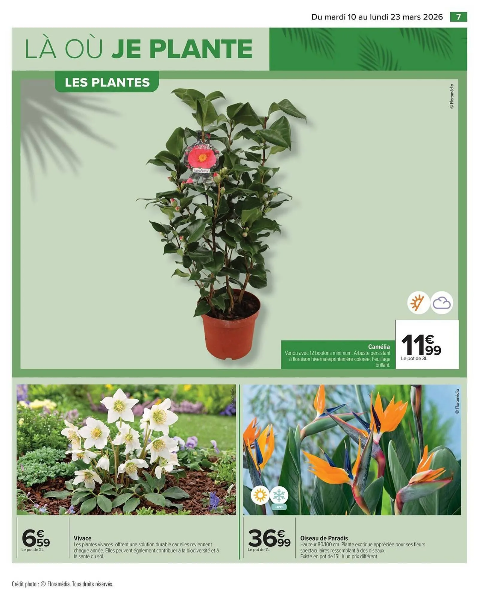 Catalogue Carrefour du 10 mars au 23 mars 2026 - Catalogue page 13