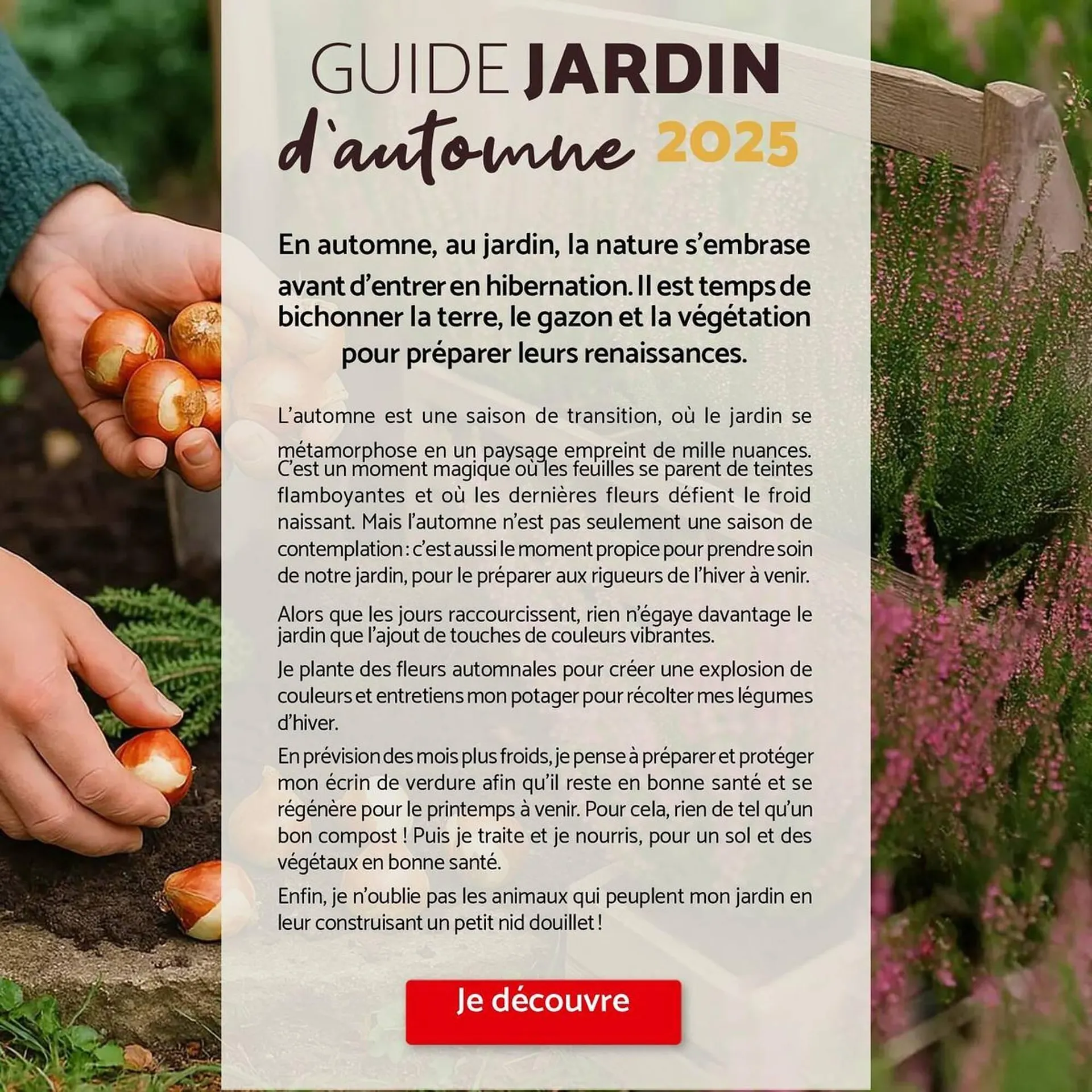 Catalogue Bricomarché du 1 octobre au 29 novembre 2025 - Catalogue page 2