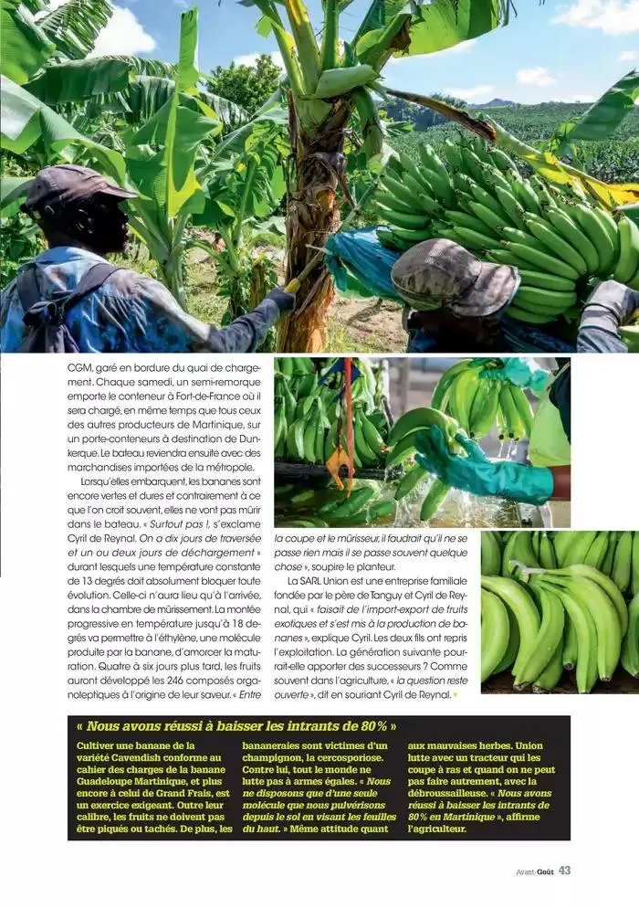 Hiver 2024 du 3 décembre au 20 mars 2025 - Catalogue page 43