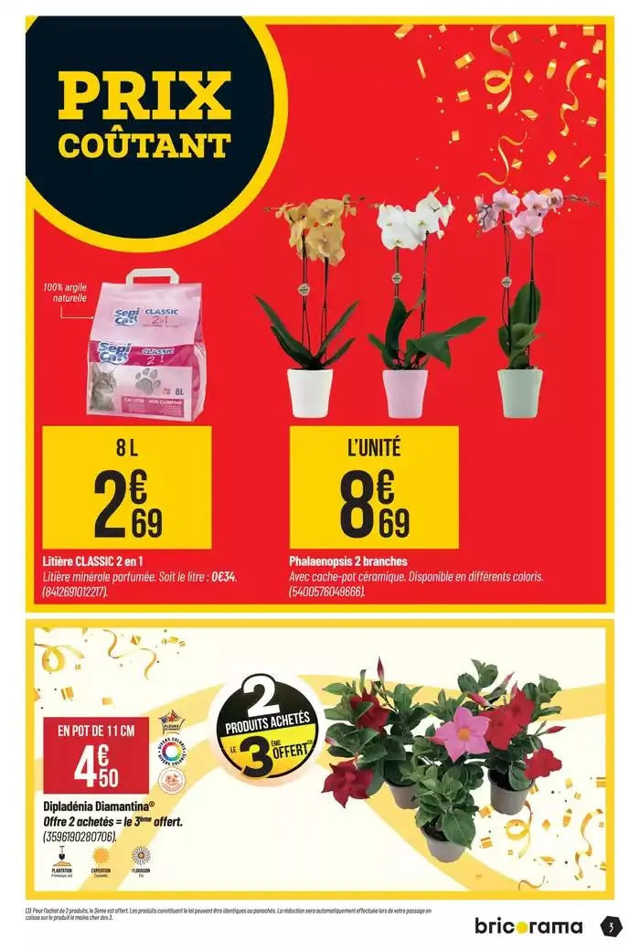 Célébrons les 50 ans Bricorama du 7 mai au 18 mai 2025 - Catalogue page 3