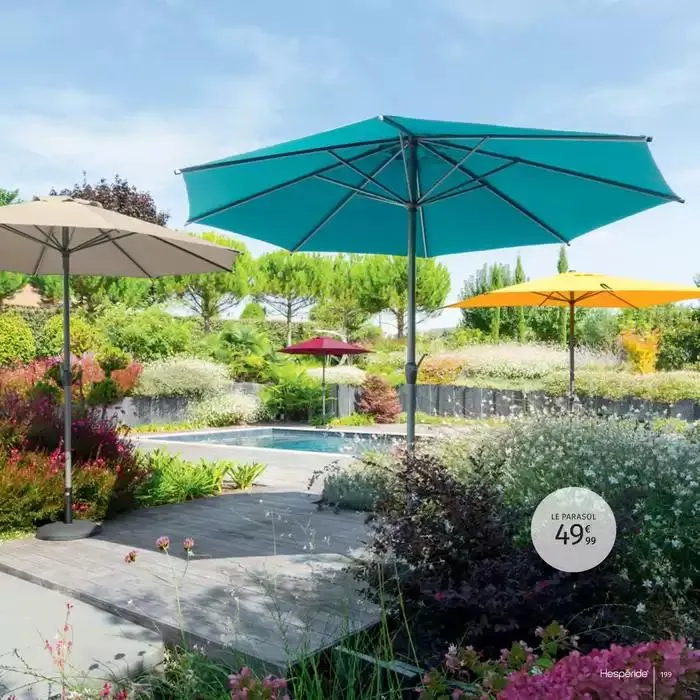 Catalogue Hespéride 2025 du 5 février au 31 décembre 2025 - Catalogue page 199