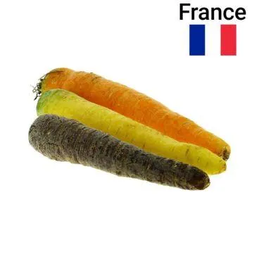 Carotte Couleur 500g Bio