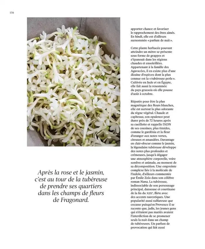 Printemps/Été 2025 du 17 mars au 23 septembre 2025 - Catalogue page 158