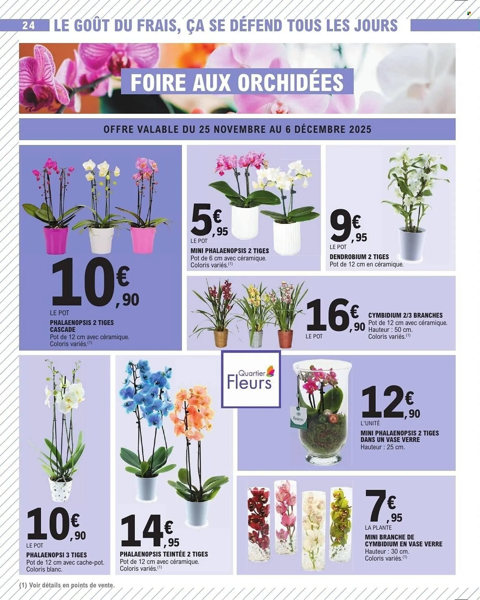 Catalogue E.Leclerc du 25 novembre au 6 décembre 2025 - Catalogue page 24