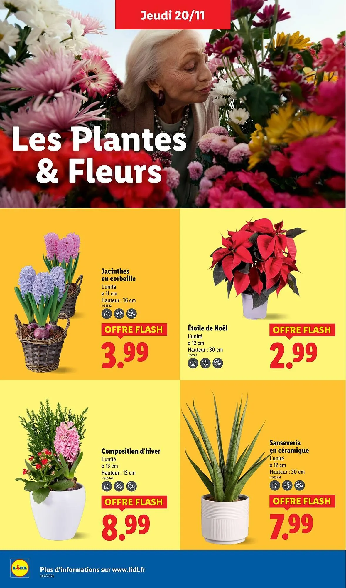 Catalogue Lidl du 20 novembre au 26 novembre 2025 - Catalogue page 36