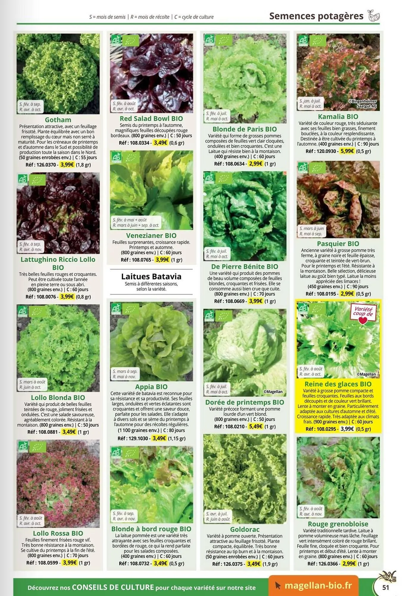 Catalogue Magellan du 1 janvier au 31 décembre 2026 - Catalogue page 51