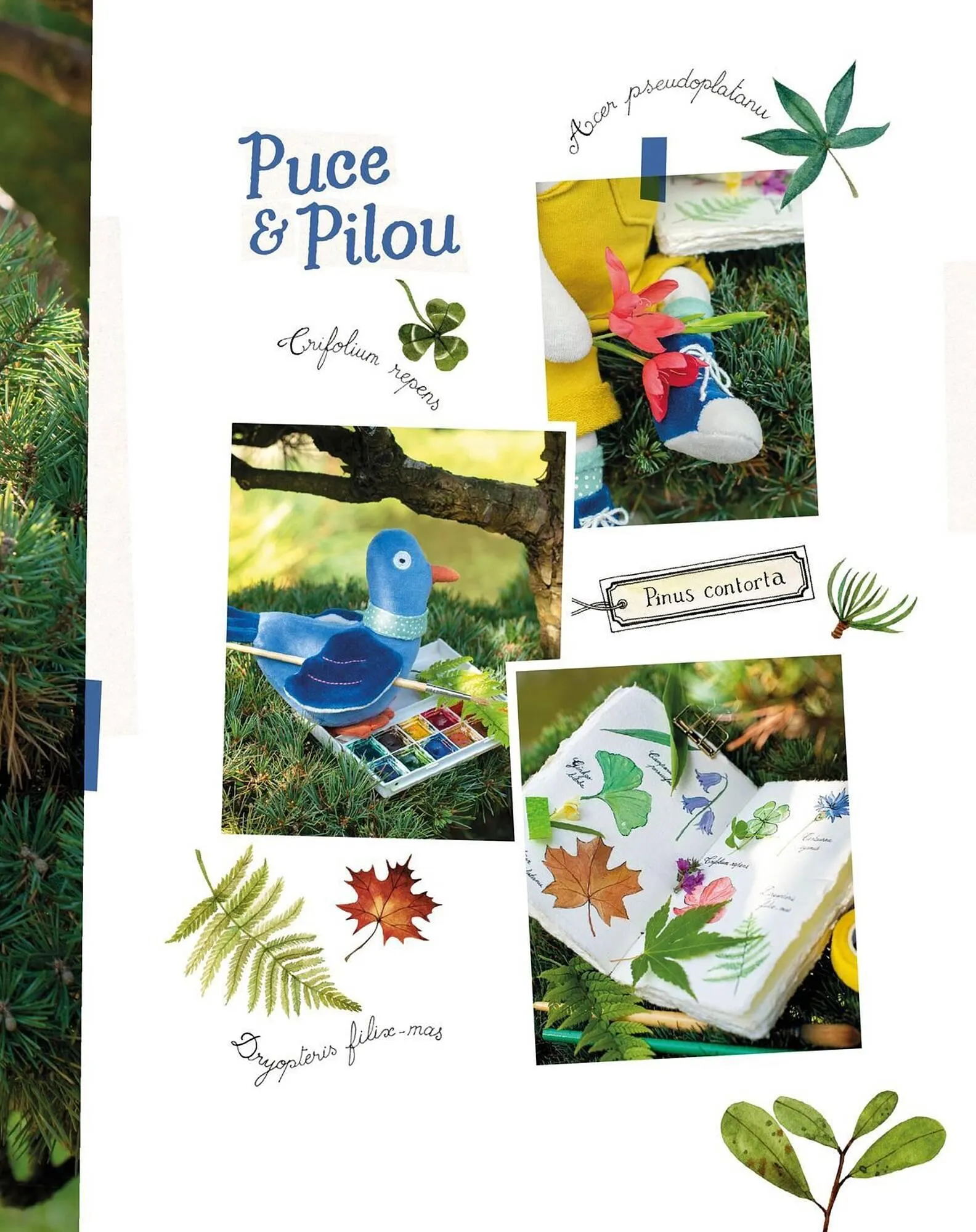 Catalogue Moulin Roty du 1 février au 28 février 2026 - Catalogue page 49