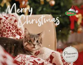 XMAS Calendrier de l'Avent à la viande pour Chat