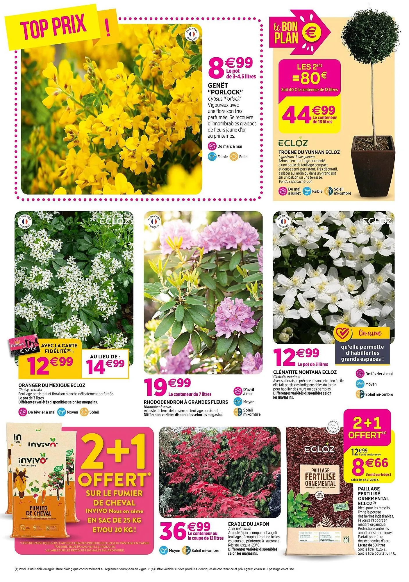 Catalogue Delbard du 8 avril au 19 avril 2026 - Catalogue page 6