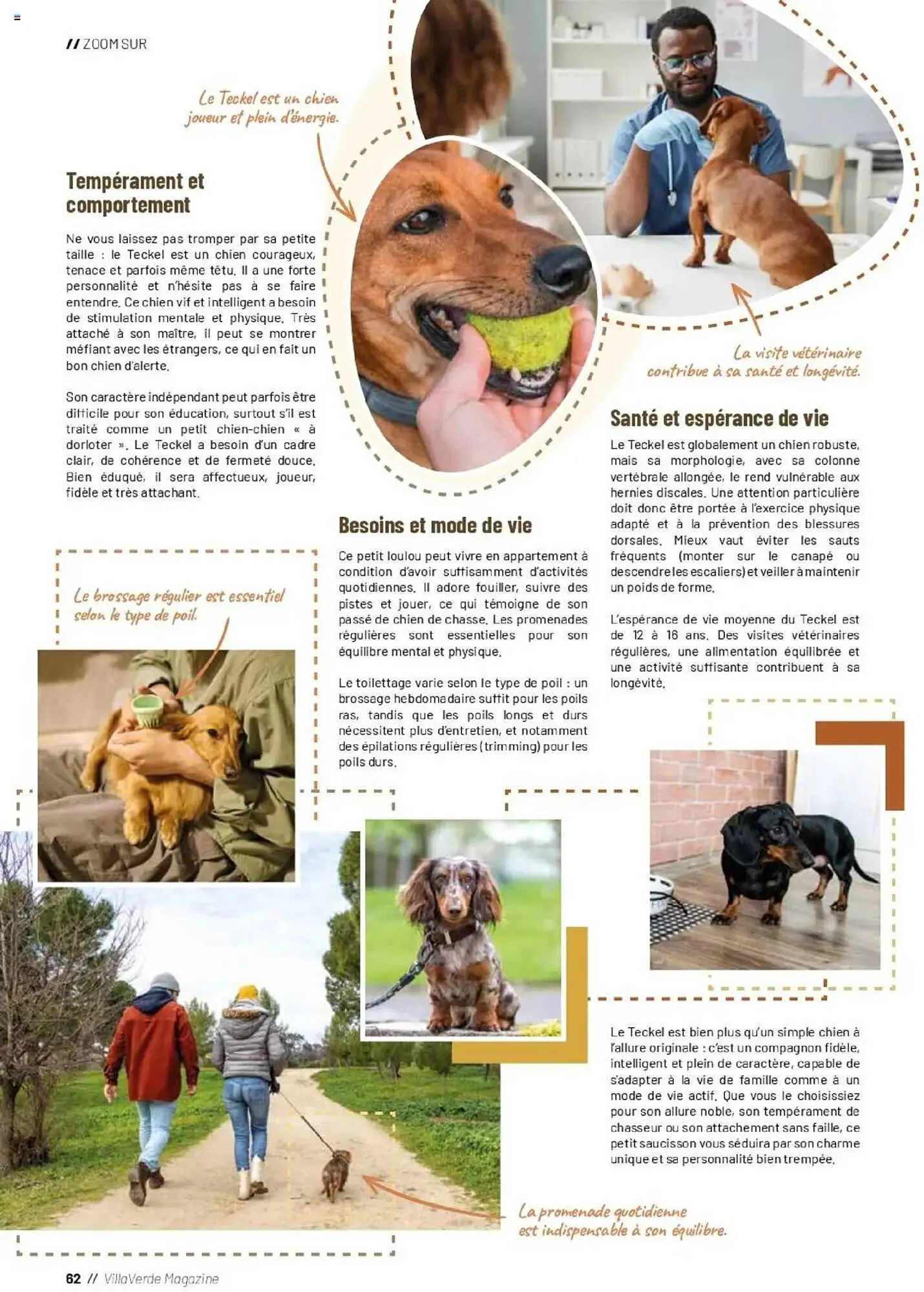 Catalogue VillaVerde du 19 septembre au 28 février 2026 - Catalogue page 62