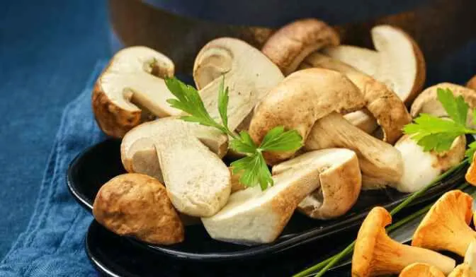 Jeunes cèpes coupés