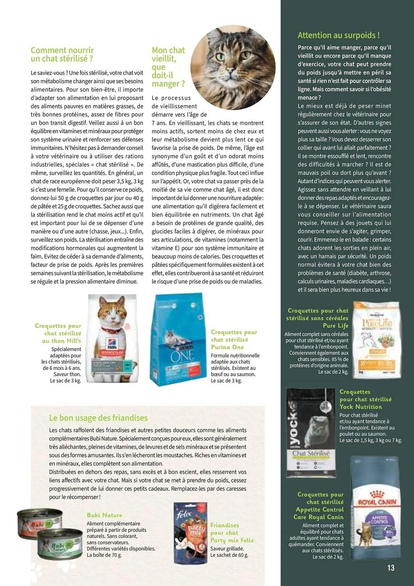 Catalogue Point Vert du 30 avril au 31 décembre 2025 - Catalogue page 13