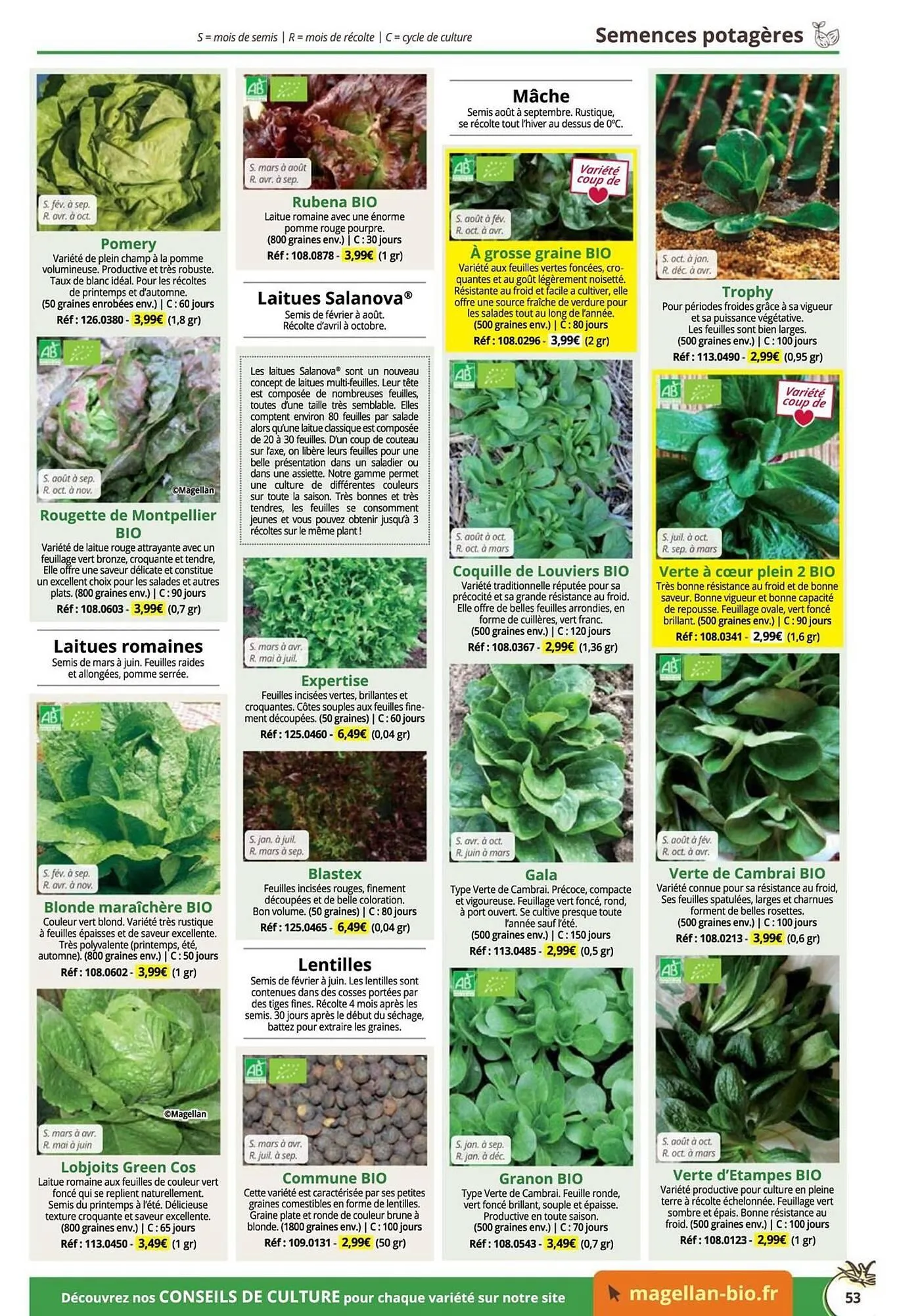 Catalogue Magellan du 16 décembre au 31 décembre 2025 - Catalogue page 53