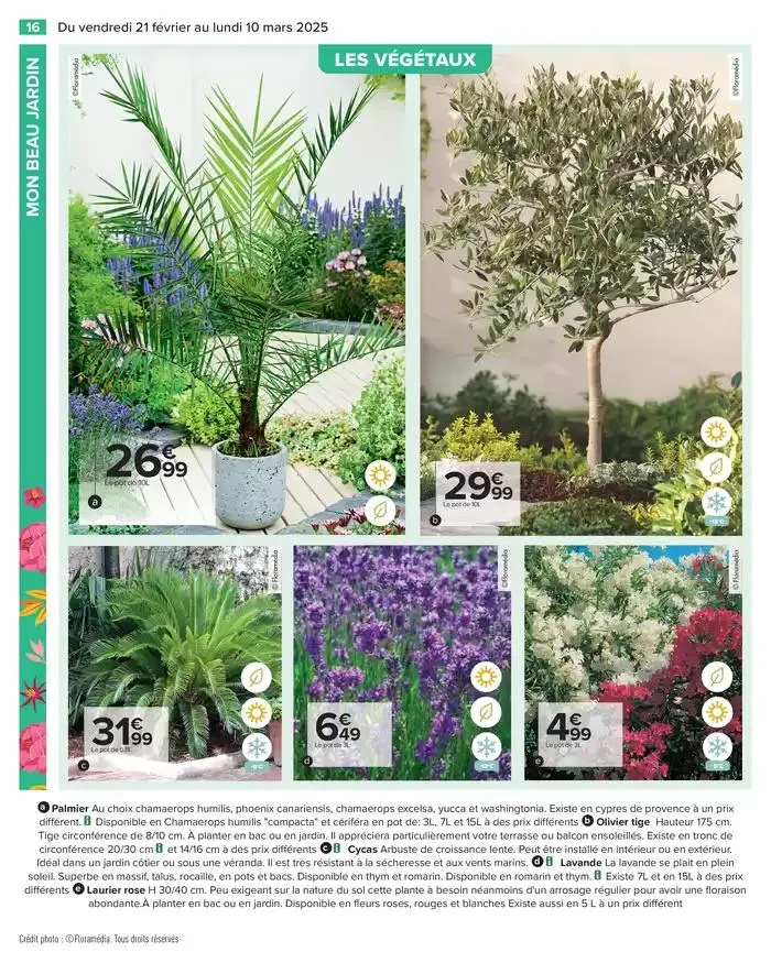 PROFITER ENFIN DE SON JARDIN du 21 février au 10 mars 2025 - Catalogue page 18