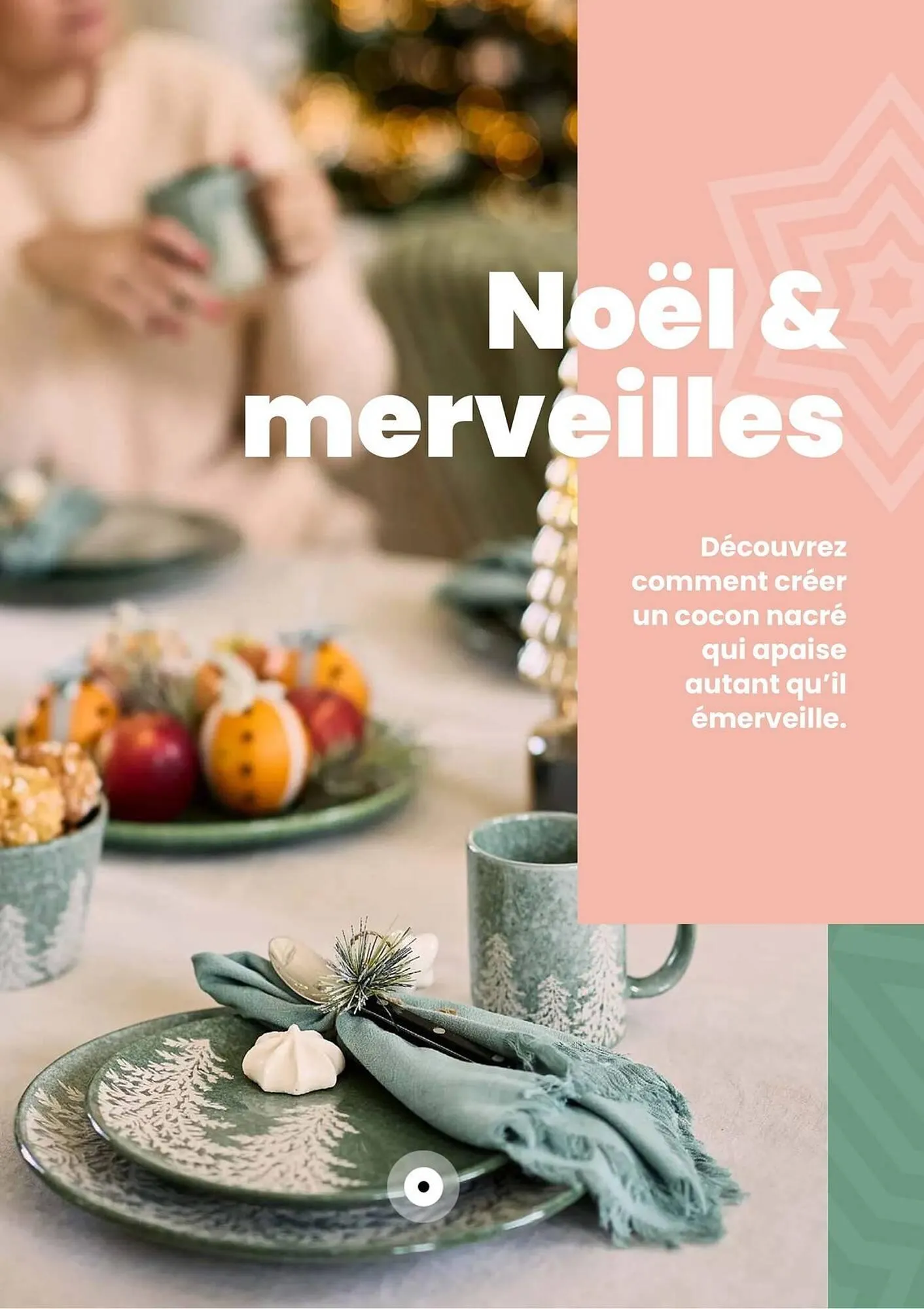 Catalogue Truffaut du 2 décembre au 31 décembre 2025 - Catalogue page 5