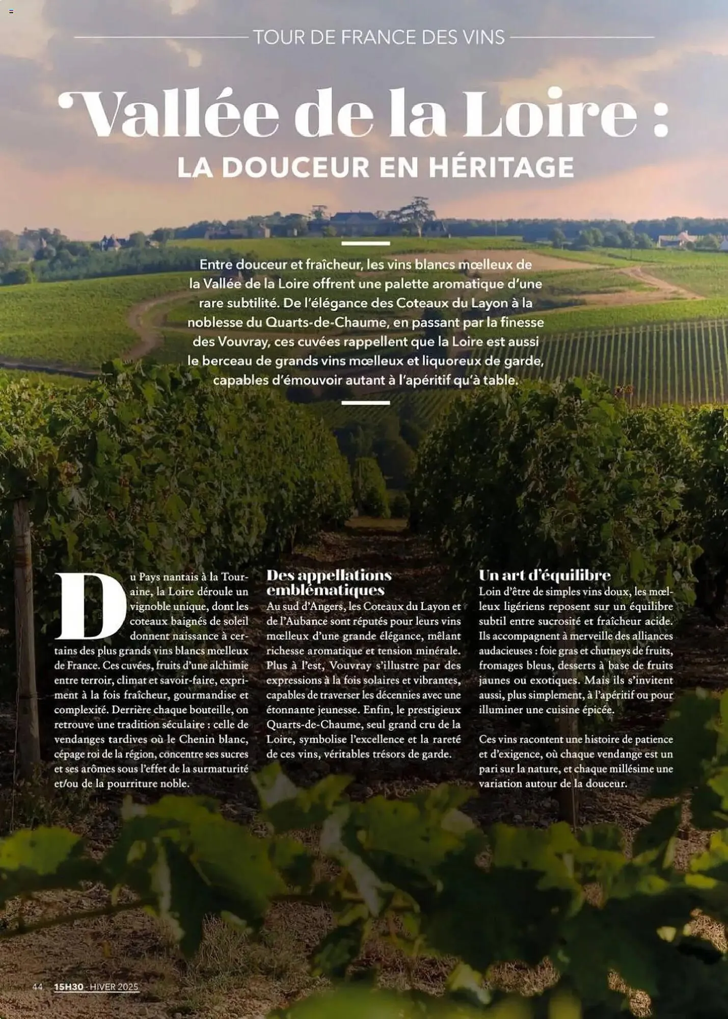 Catalogue METRO du 1 décembre au 22 janvier 2026 - Catalogue page 44