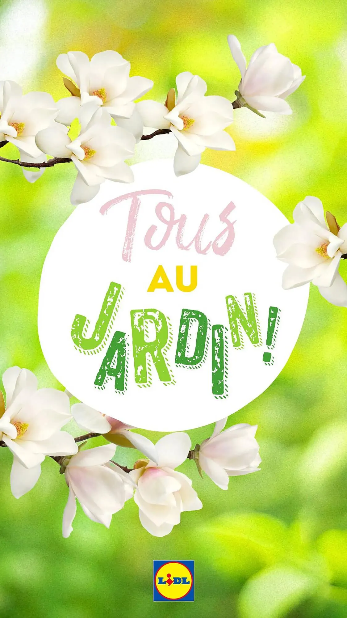 Catalogue Lidl du 13 mars au 27 avril 2025 - Catalogue page 12