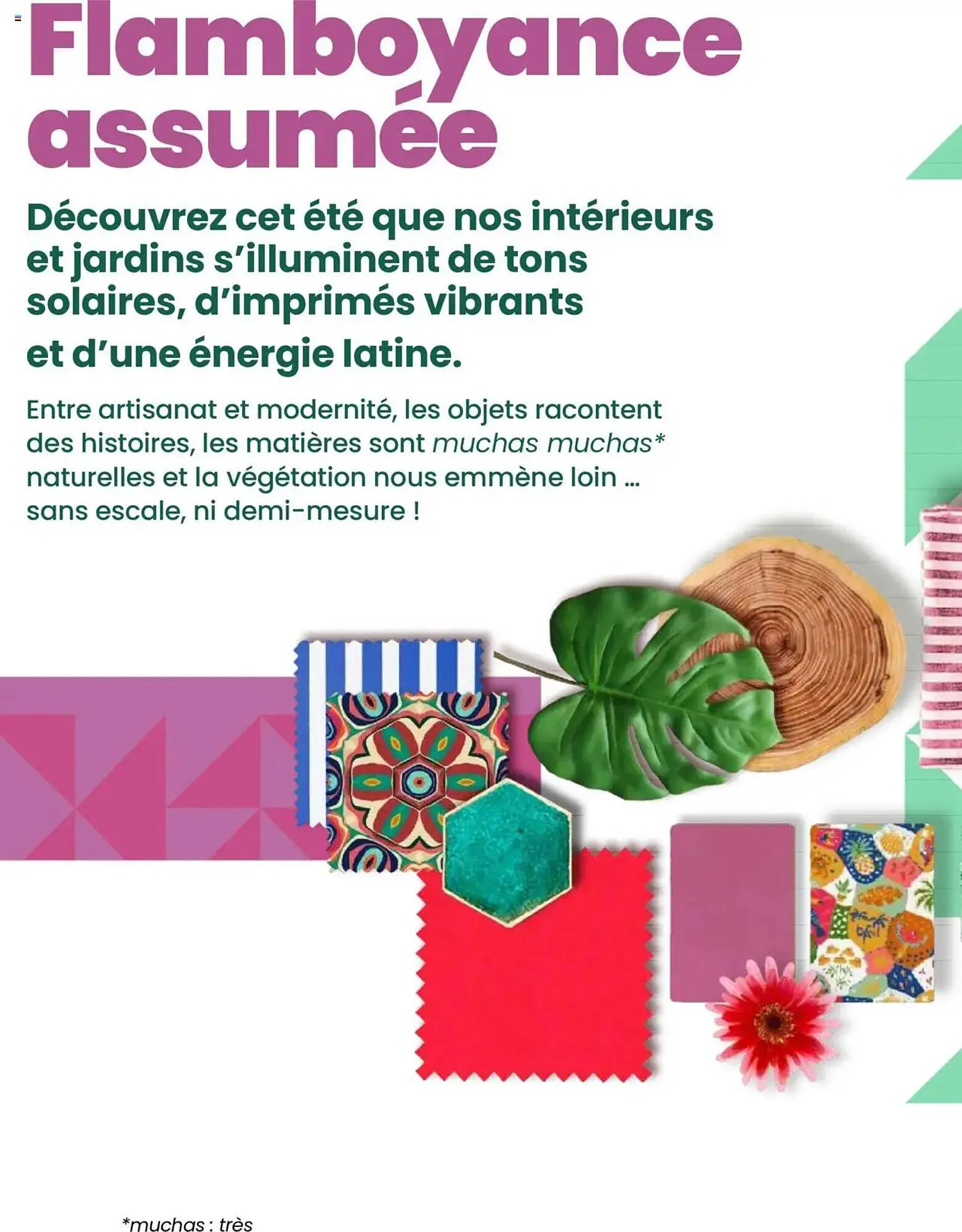 Catalogue Truffaut du 7 mai au 31 juillet 2025 - Catalogue page 2