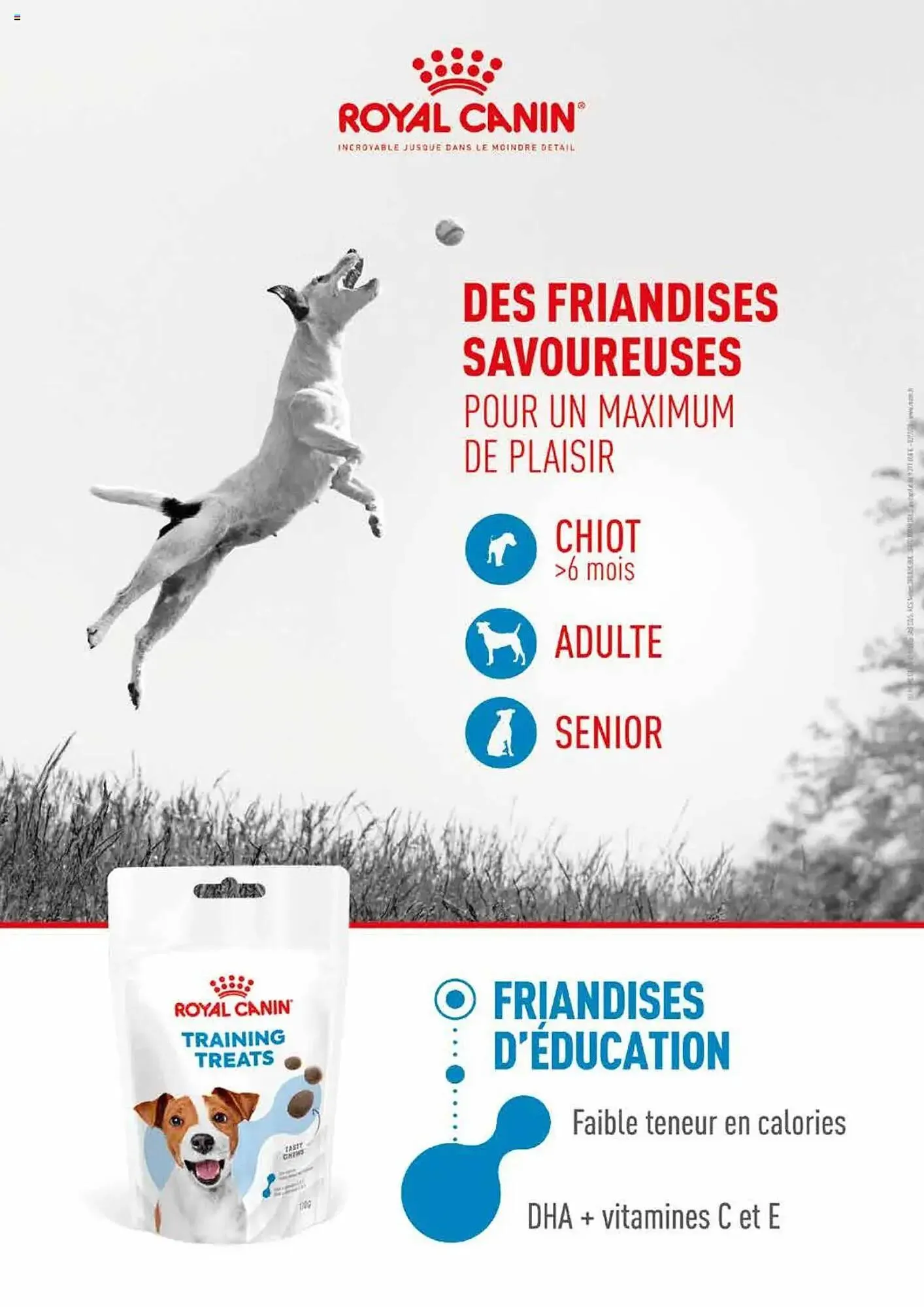 Catalogue VillaVerde du 20 mai au 1 janvier 2026 - Catalogue page 21