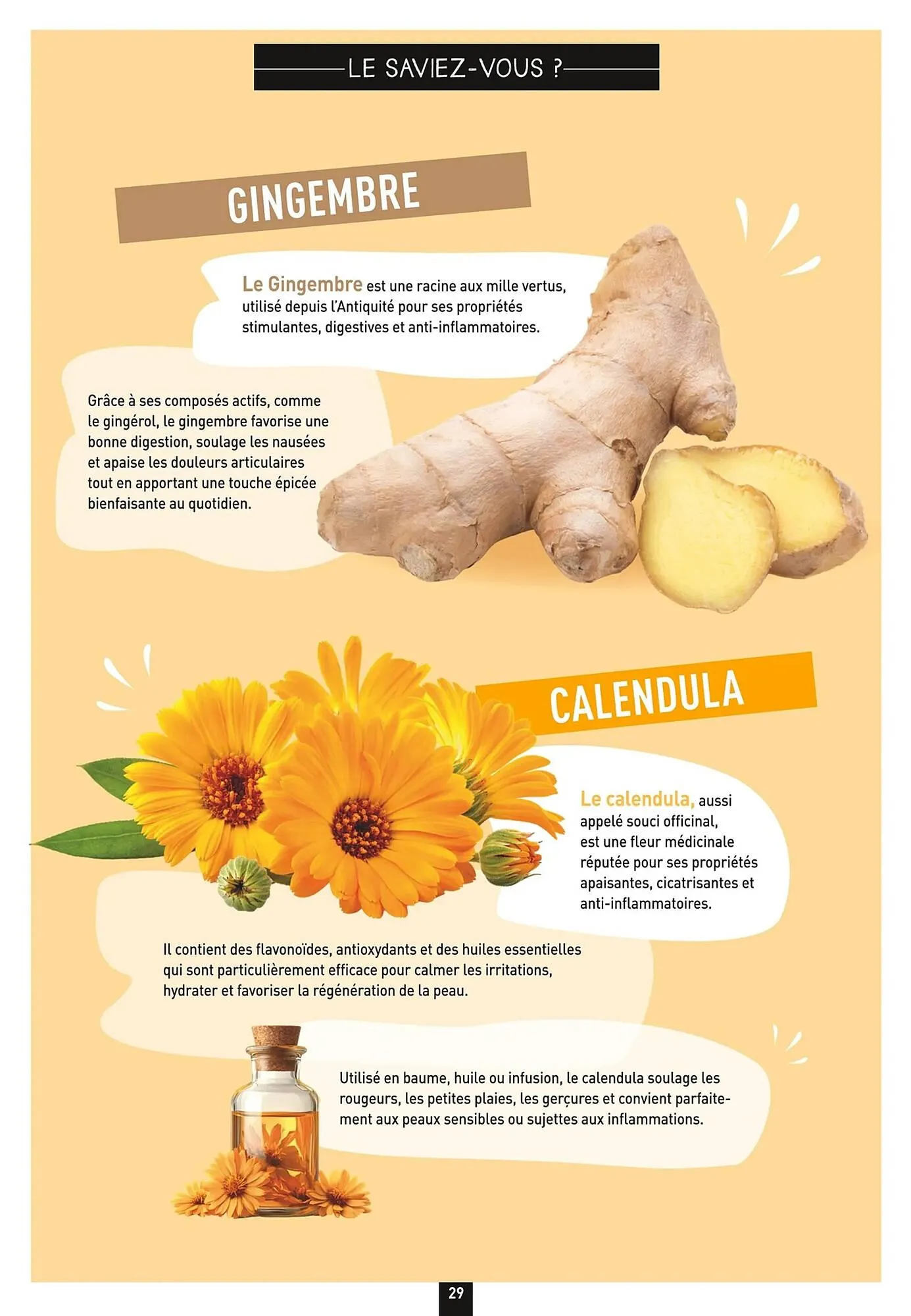 Catalogue naturéO du 18 septembre au 21 décembre 2025 - Catalogue page 29