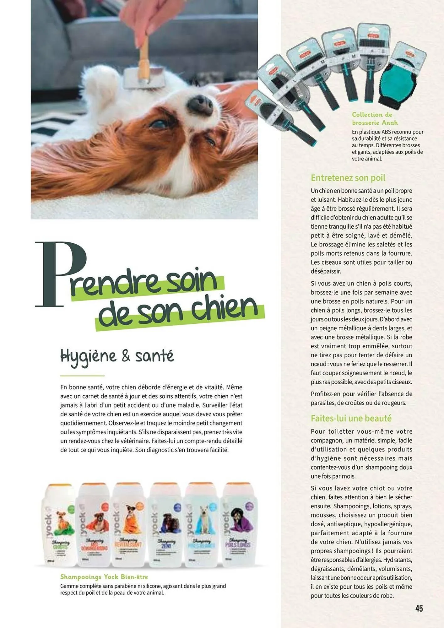 Catalogue Point Vert du 30 avril au 31 décembre 2025 - Catalogue page 45