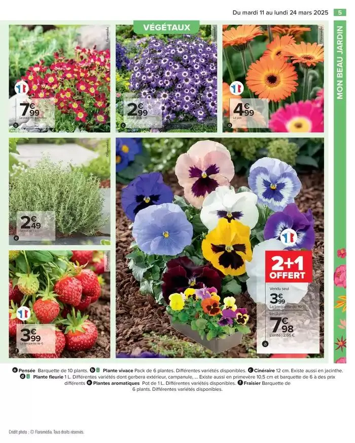 PROFITER ENFIN DE SON JARDIN du 11 mars au 24 mars 2025 - Catalogue page 7