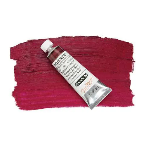 Peinture à l'huile Mussini de Schmincke