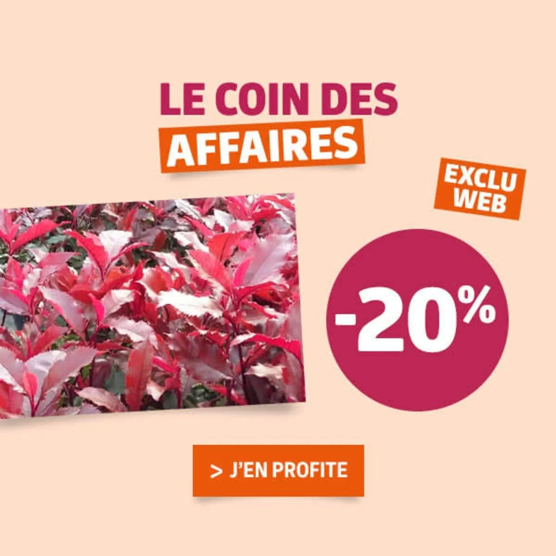 Catalogue Jardiland du 30 décembre au 7 janvier 2026 - Catalogue page 1