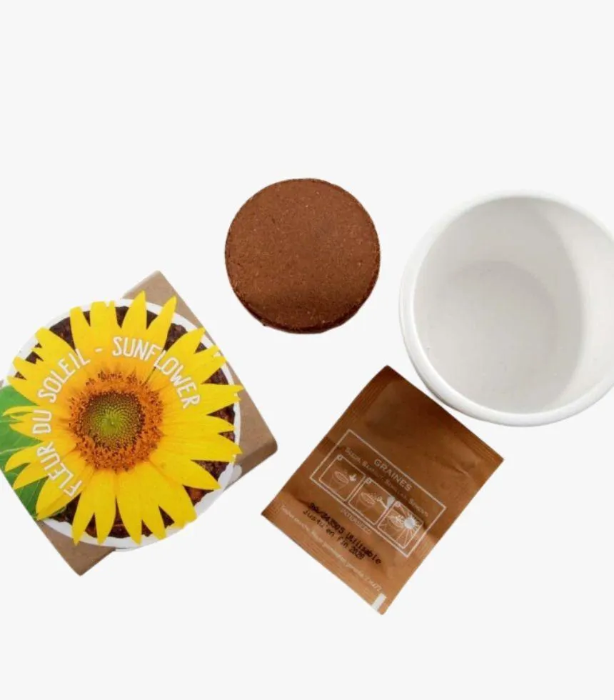 Mini kit de plantation biologique - Radis et Capucine Tournesol