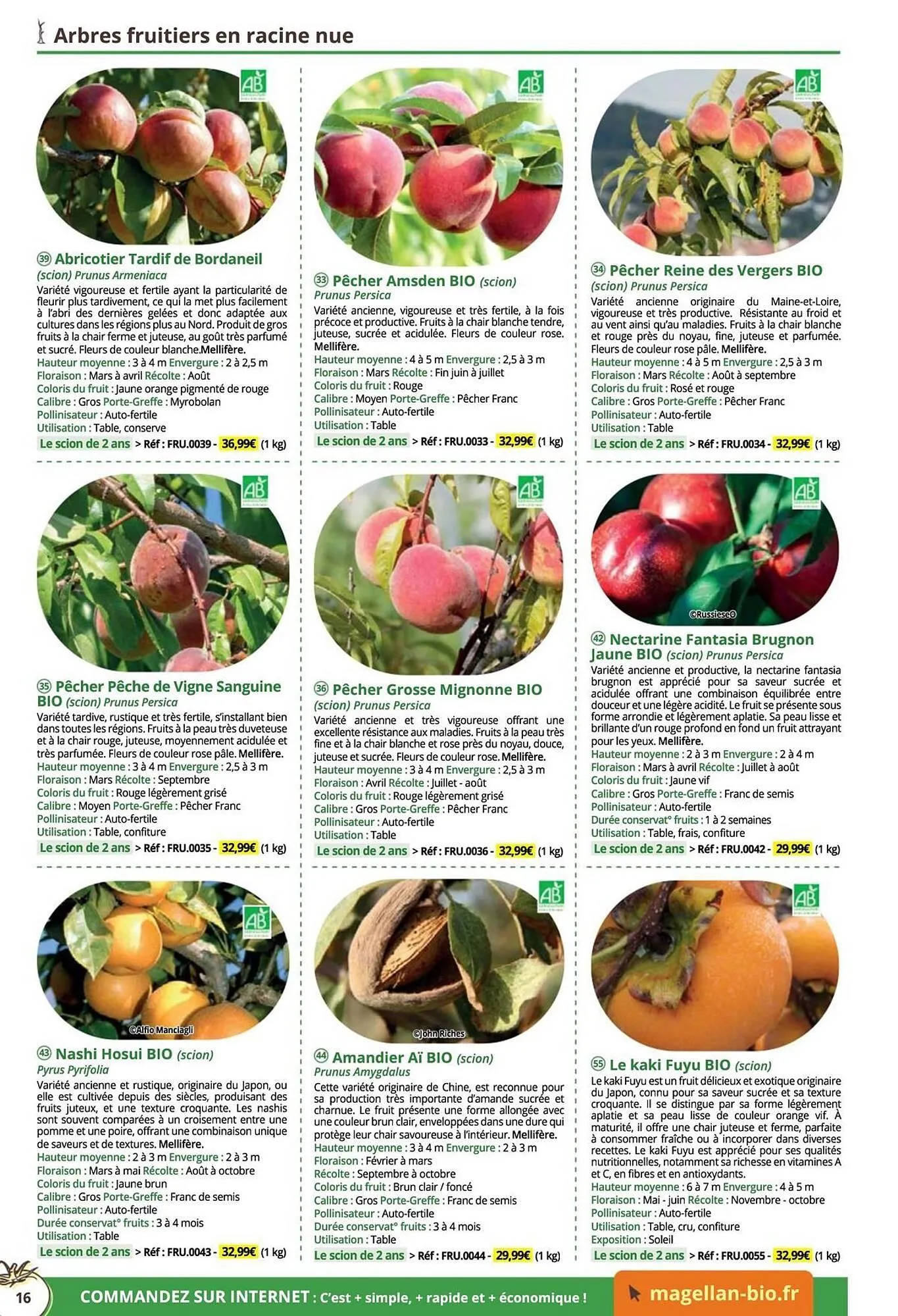 Catalogue Magellan du 16 décembre au 31 décembre 2025 - Catalogue page 16