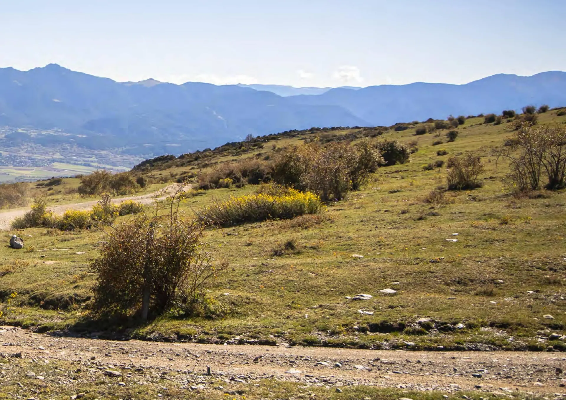 Catalogue Yamaha du 29 juillet au 3 janvier 2026 - Catalogue page 33