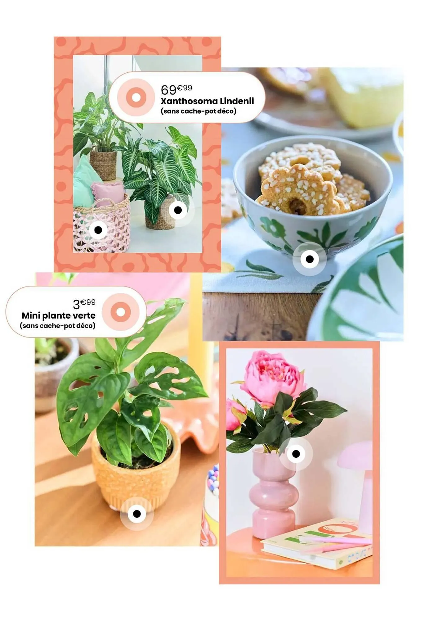 Catalogue Truffaut du 7 avril au 31 mai 2026 - Catalogue page 12