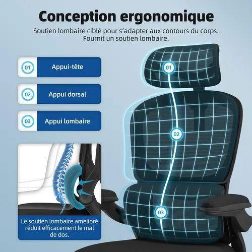 LEXZURN Fauteuil de Bureau, Accoudoirs Pliable, Inclinable, Soutien Lombaire Ergonomique