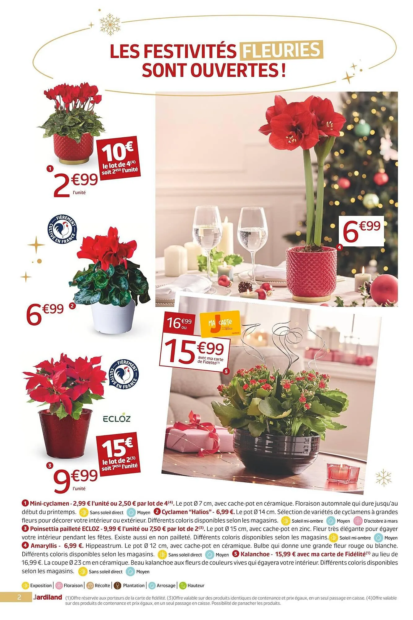 Catalogue Jardiland du 12 décembre au 31 décembre 2025 - Catalogue page 2