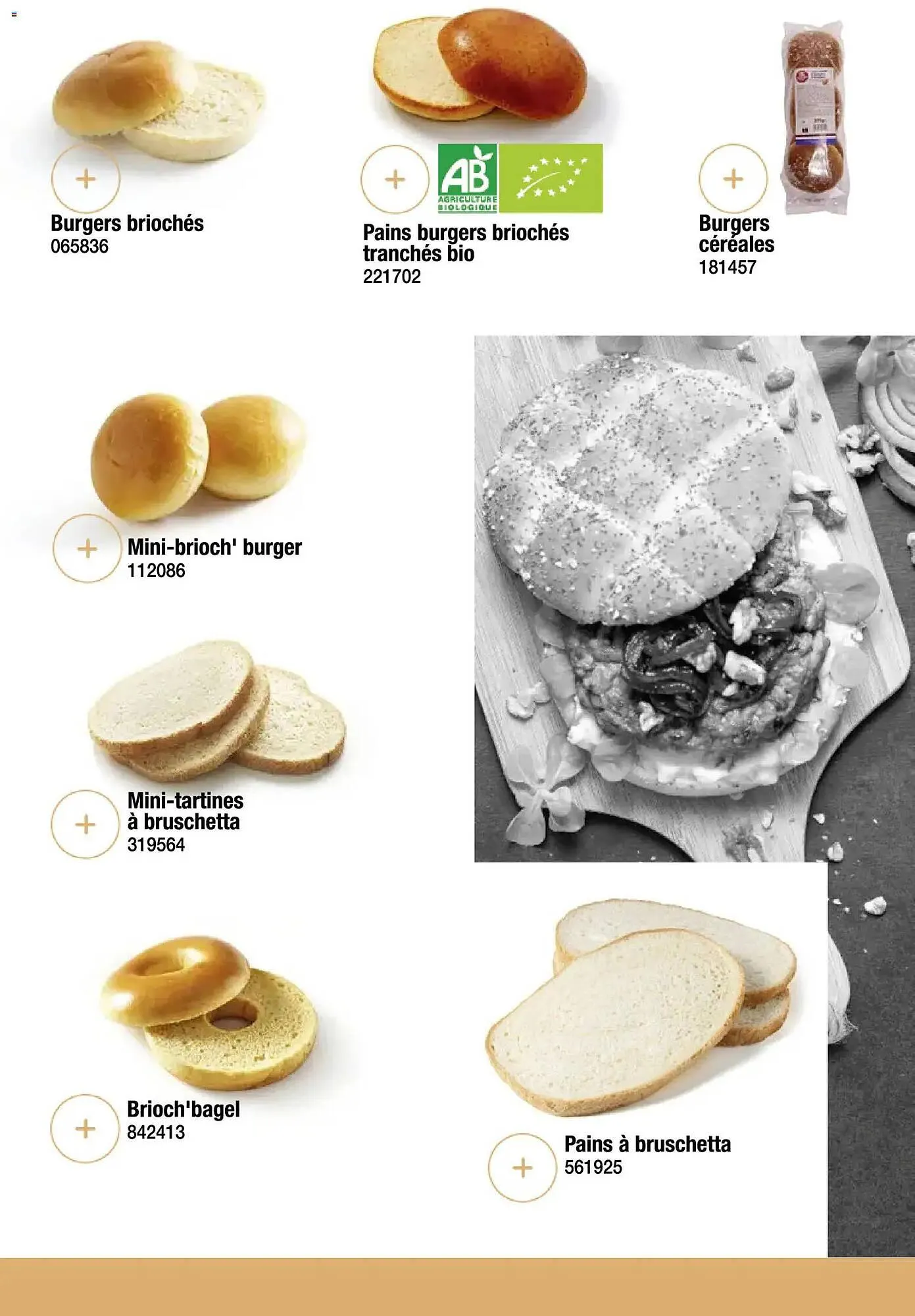 Catalogue Promocash du 19 novembre au 31 décembre 2025 - Catalogue page 49