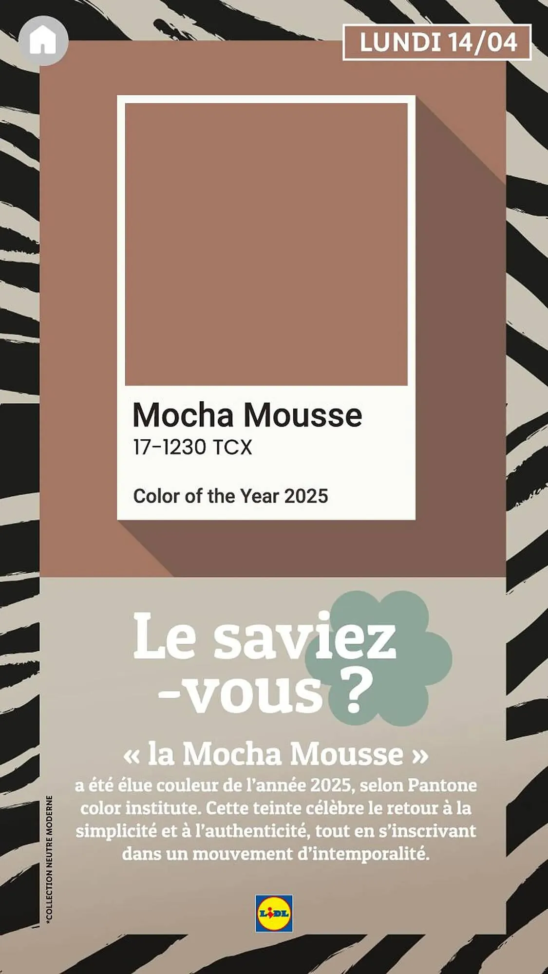 Catalogue Lidl du 27 février au 1 mai 2025 - Catalogue page 20