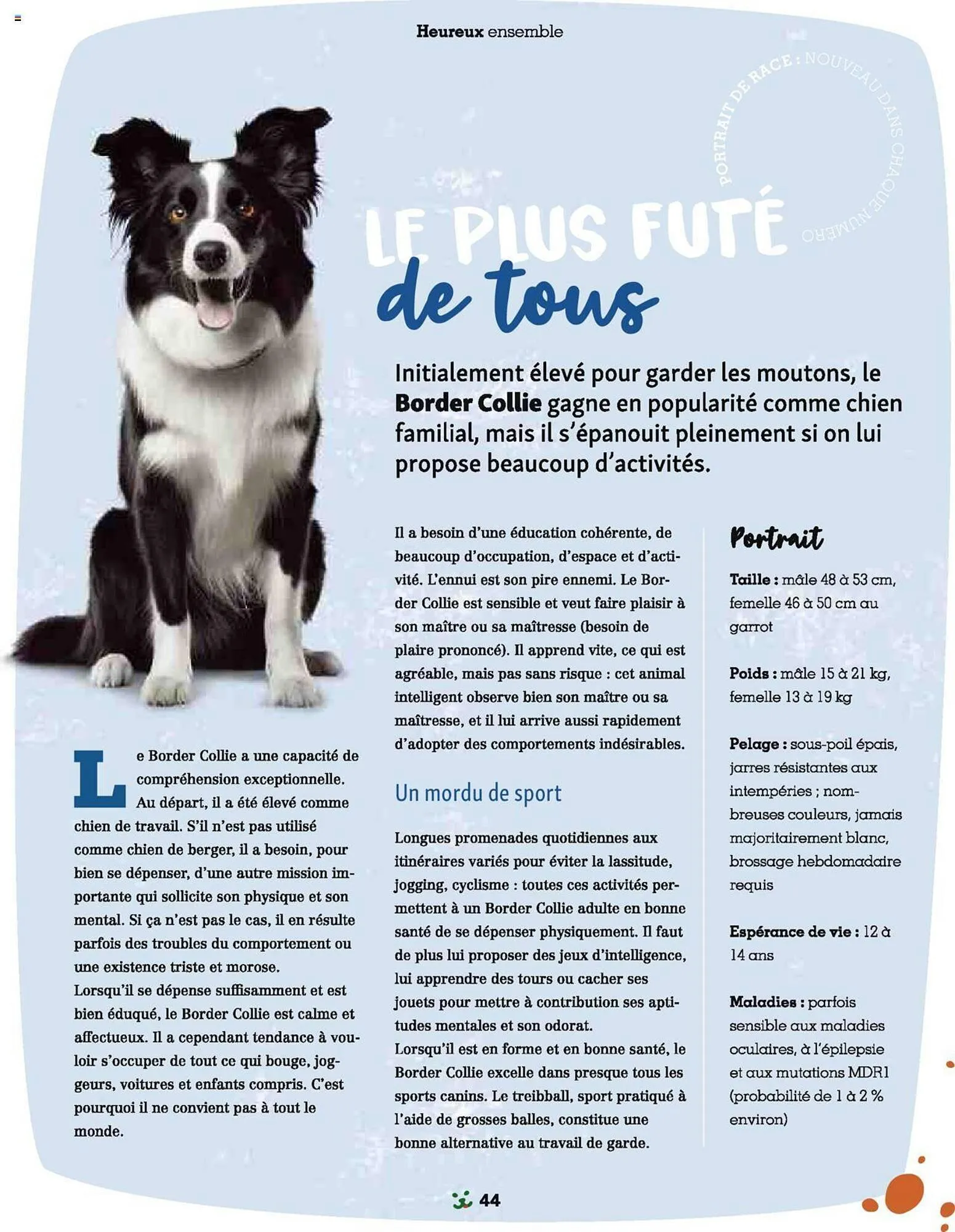 Catalogue Maxi Zoo du 1 septembre au 3 novembre 2024 - Catalogue page 44