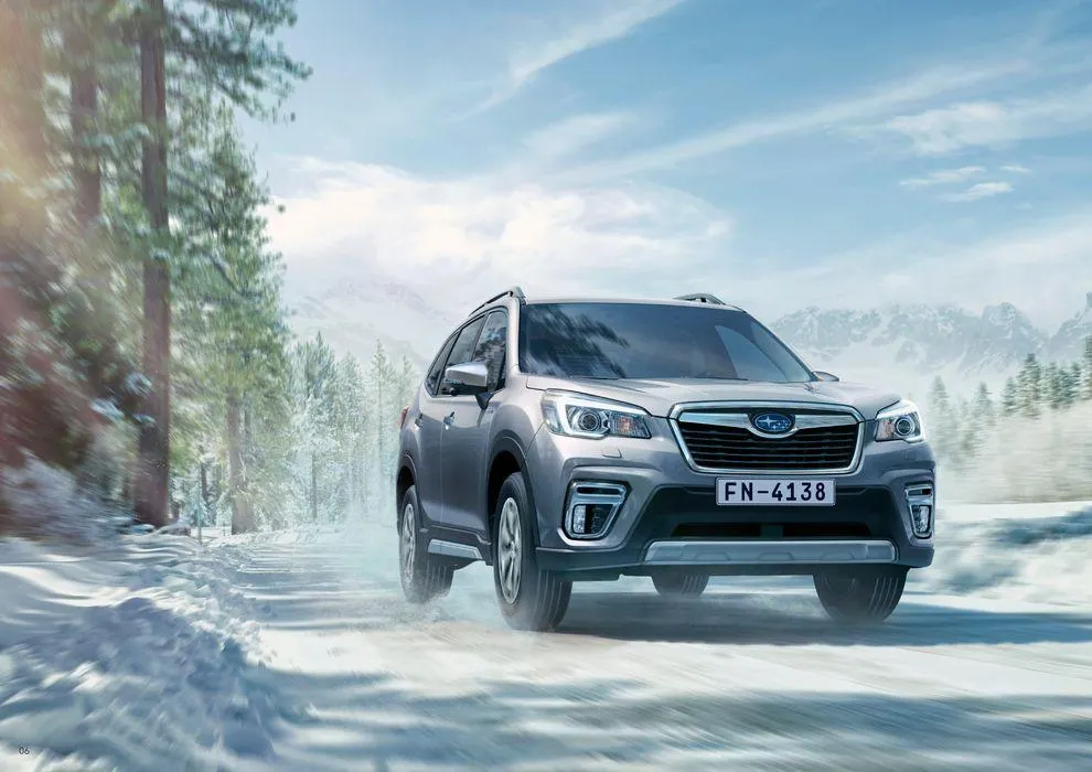 Forester du 13 décembre au 31 juillet 2025 - Catalogue page 6