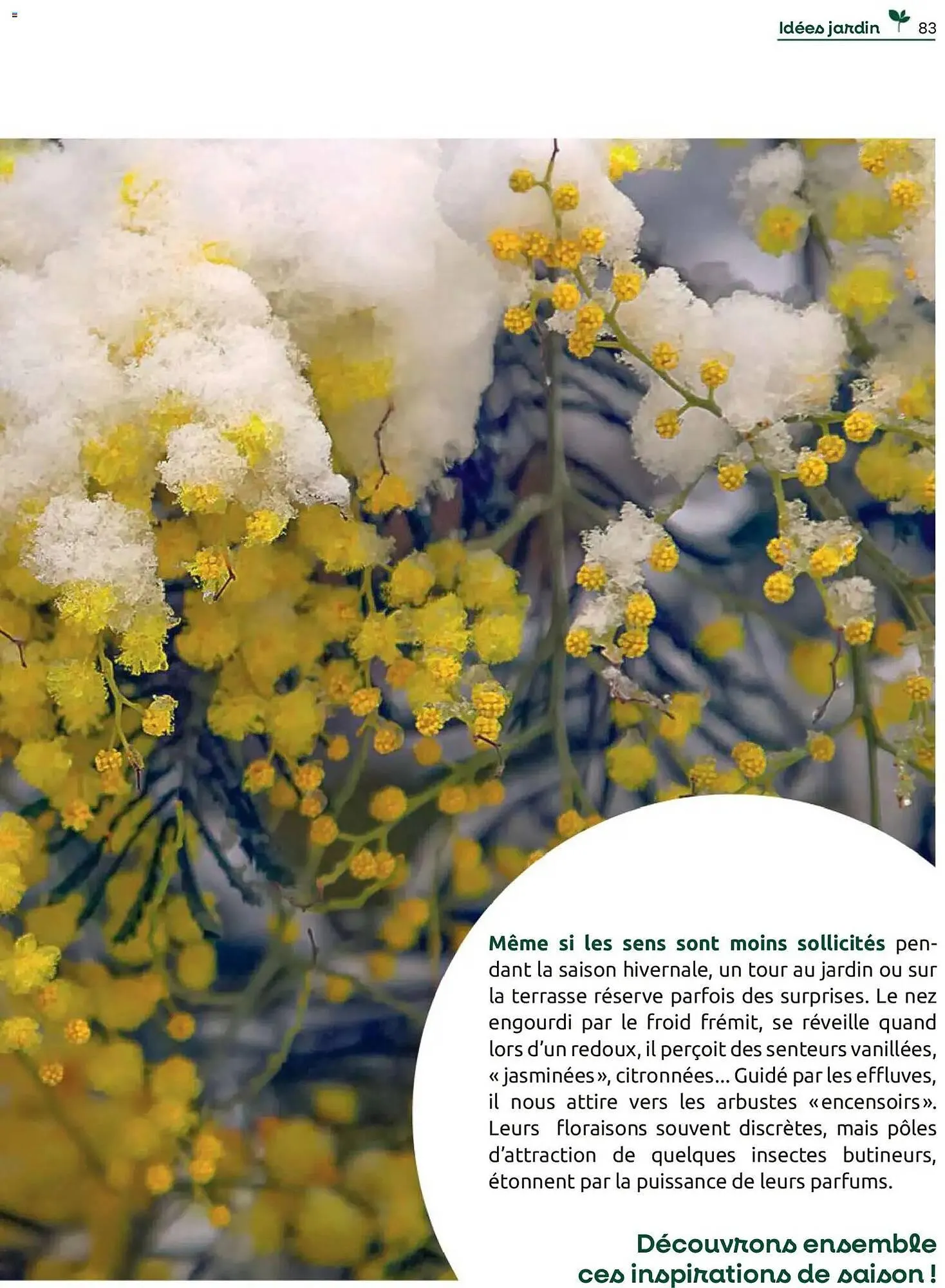 Catalogue Mr Bricolage du 1 décembre au 31 décembre 2025 - Catalogue page 83