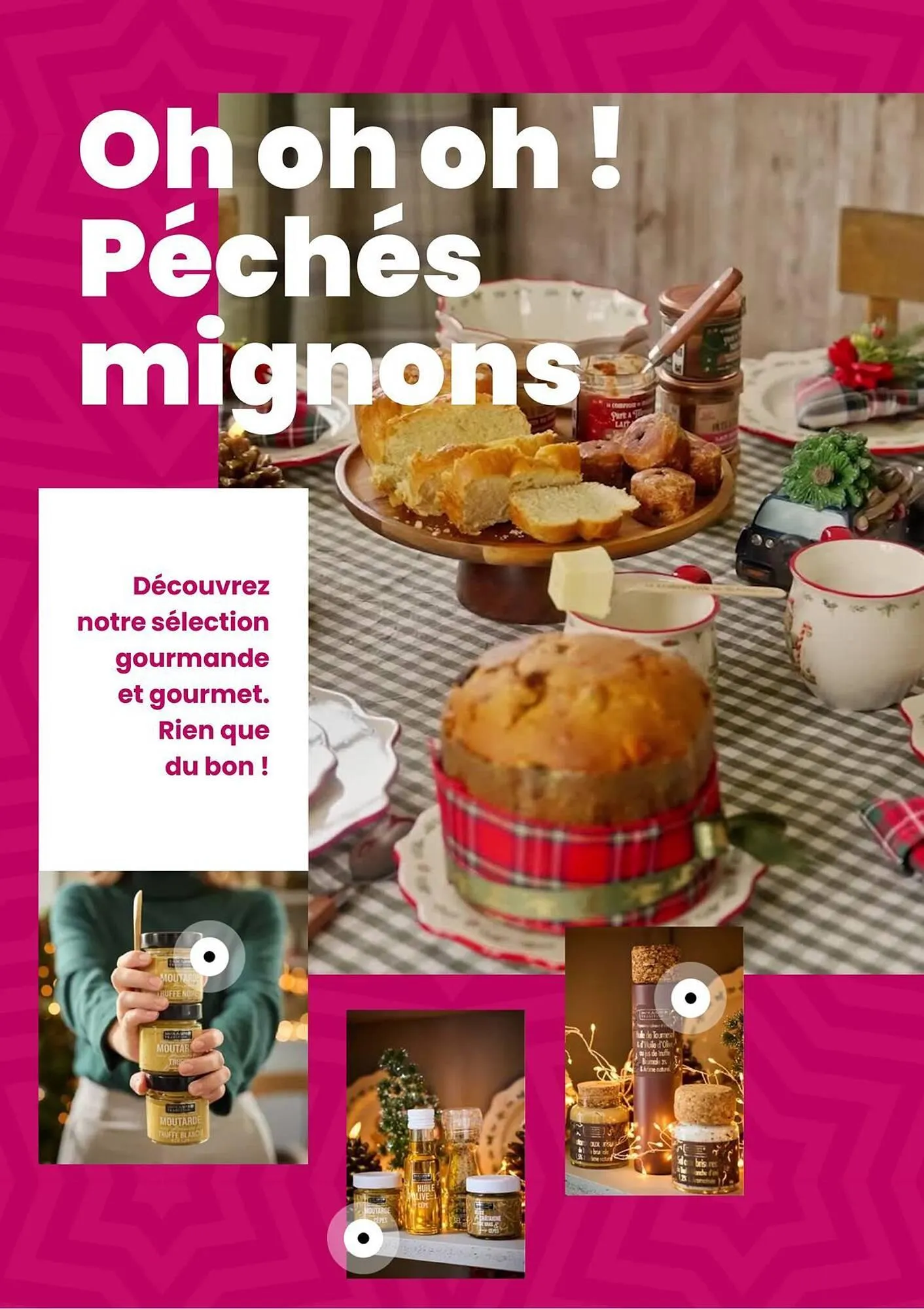 Catalogue Truffaut du 2 décembre au 31 décembre 2025 - Catalogue page 41