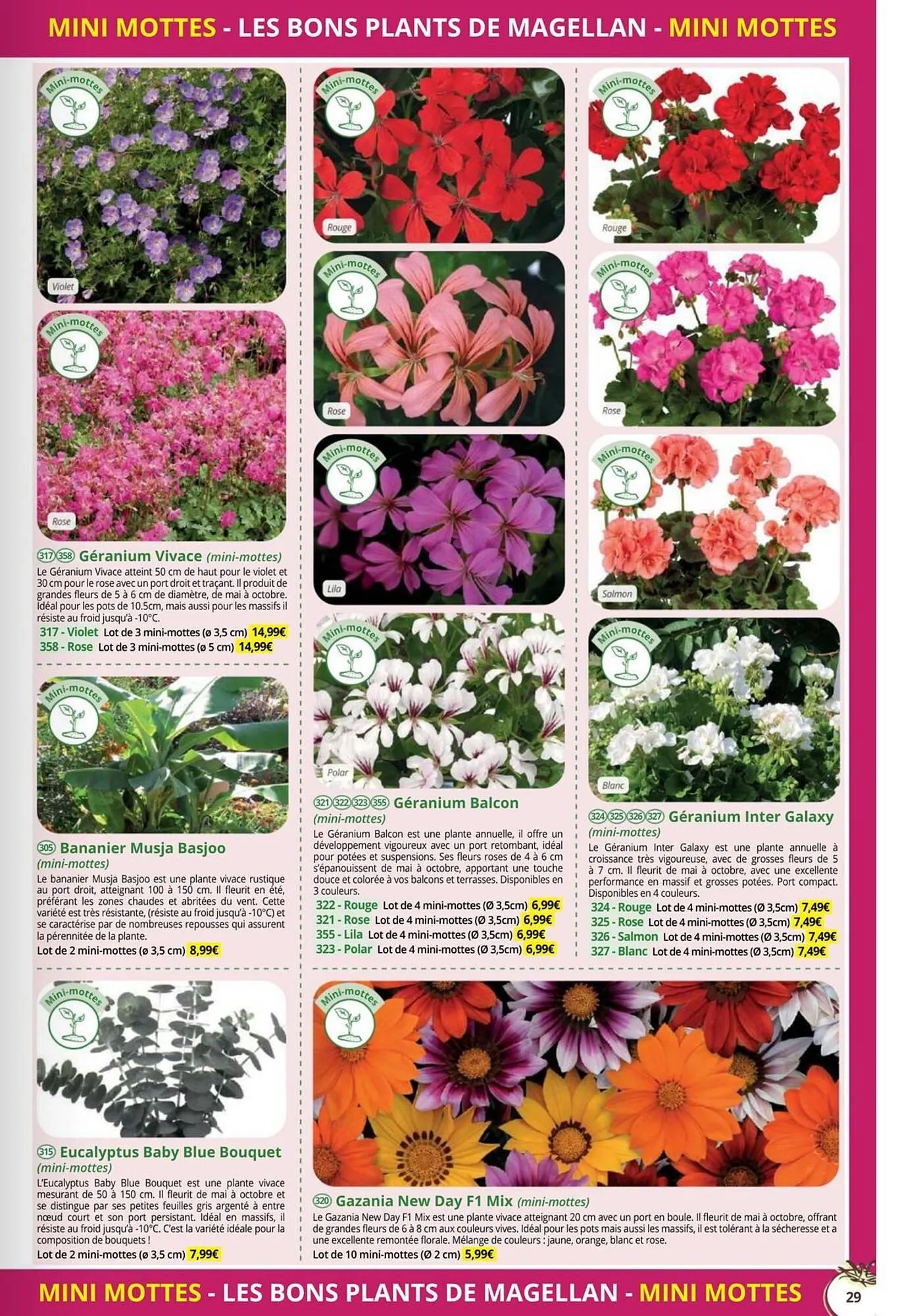 Catalogue Magellan du 1 janvier au 31 décembre 2026 - Catalogue page 29