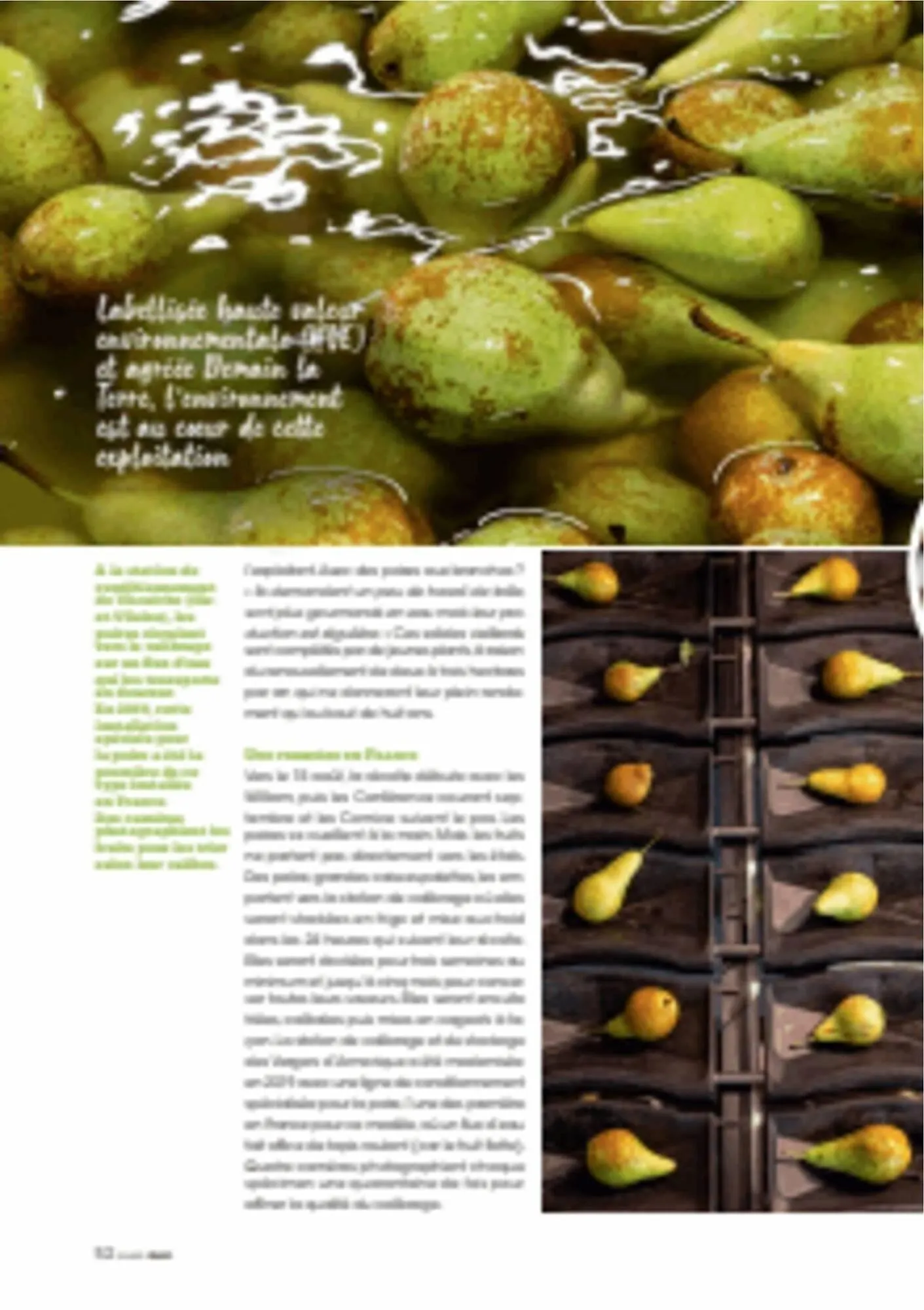 Catalogue Grand Frais du 12 décembre au 20 mars 2026 - Catalogue page 52