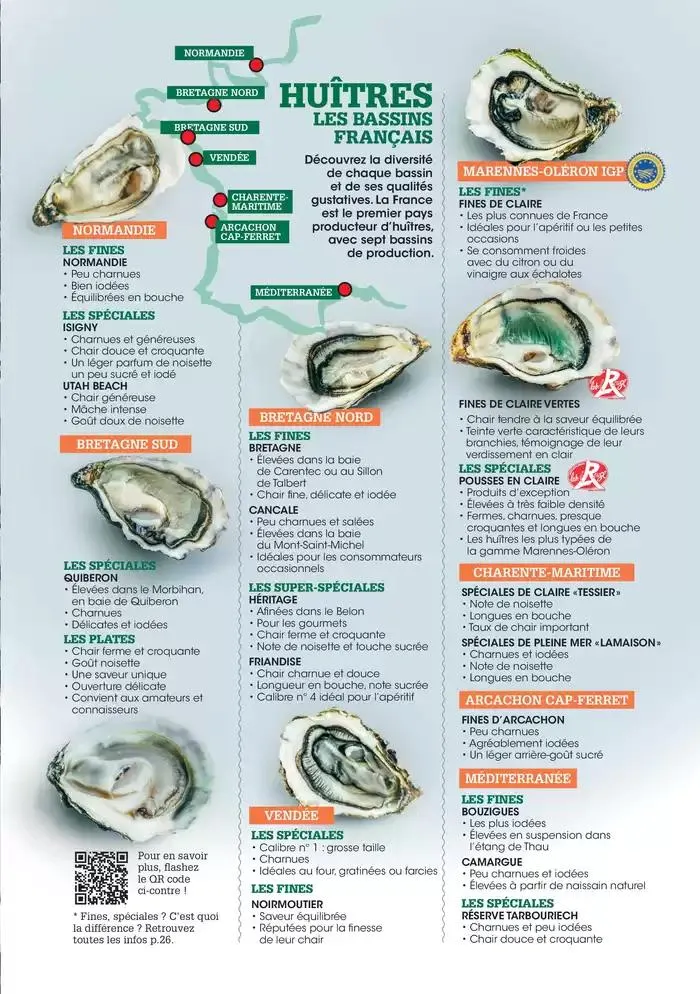 Hiver 2024 du 3 décembre au 20 mars 2025 - Catalogue page 13