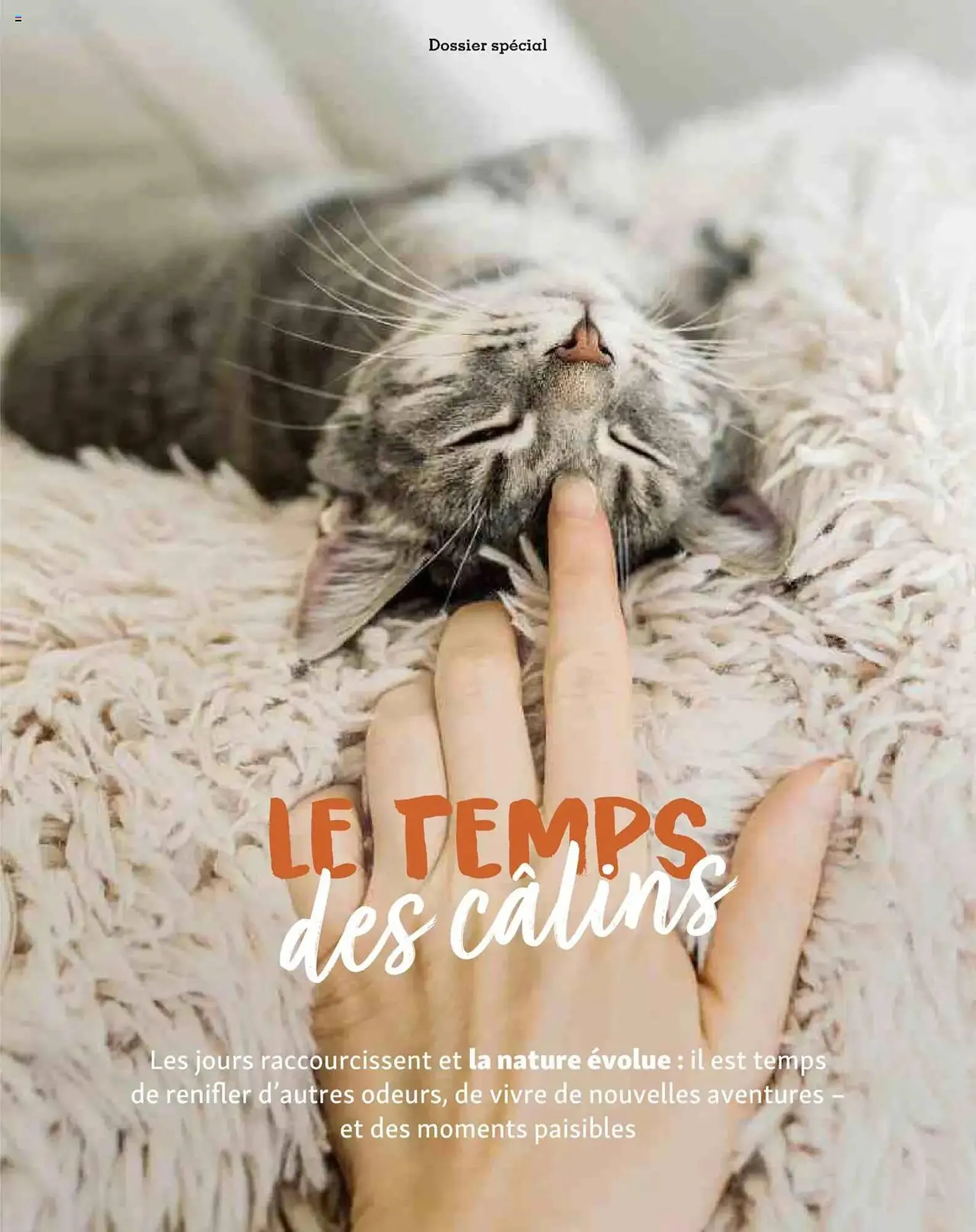 Catalogue Maxi Zoo du 1 octobre au 20 novembre 2025 - Catalogue page 11