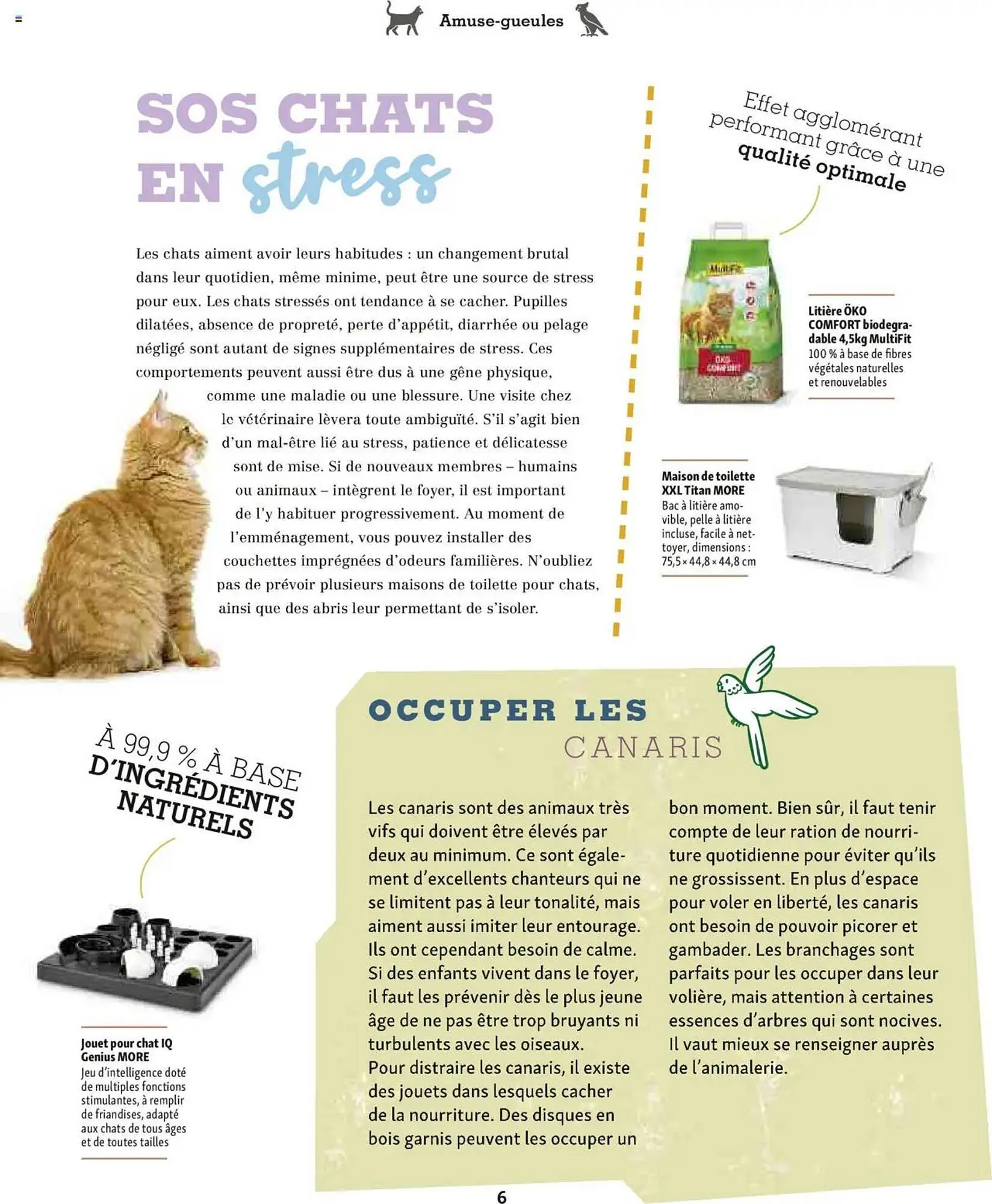 Catalogue Maxi Zoo du 1 octobre au 20 novembre 2025 - Catalogue page 6
