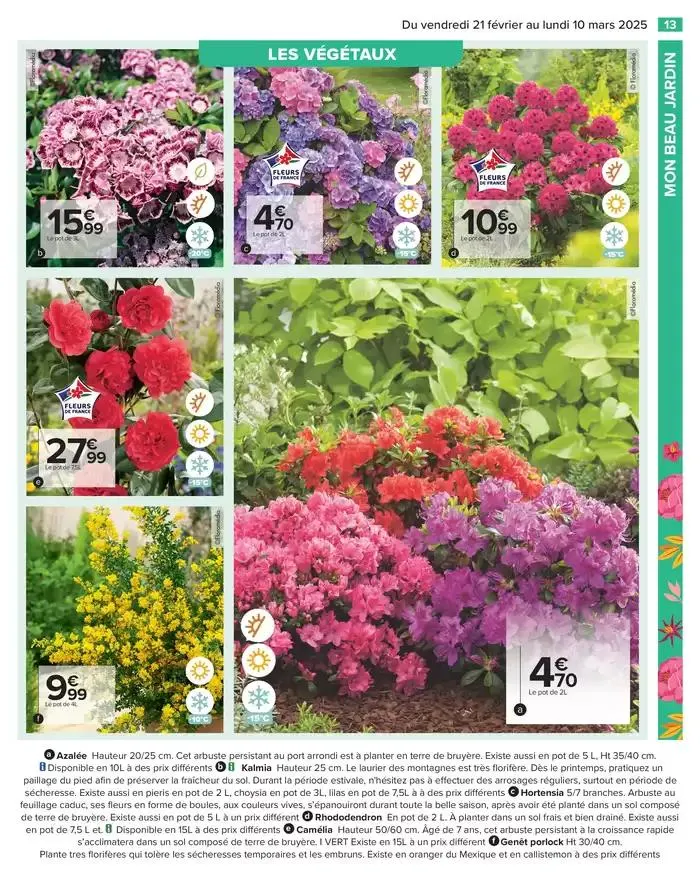 PROFITER ENFIN DE SON JARDIN du 21 février au 10 mars 2025 - Catalogue page 15