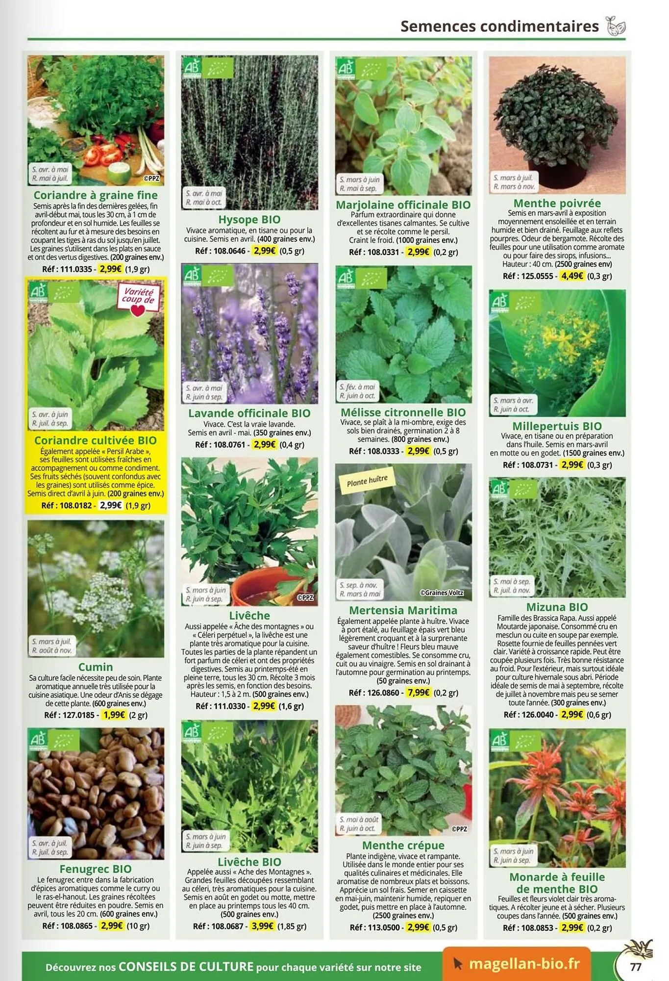 Catalogue Magellan du 1 janvier au 31 décembre 2026 - Catalogue page 77